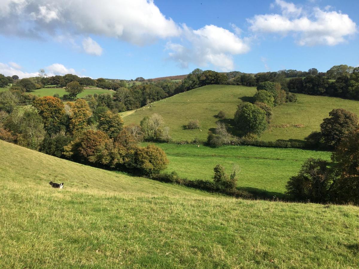 Cookshayes Country Guest House Moretonhampstead Exteriör bild